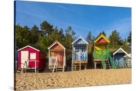 Wells-Next-The-Sea Beach, North Norfolk, Norfolk, England, United Kingdom, Europe-Alan Copson-Stretched Canvas