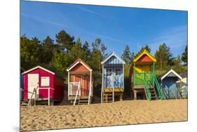 Wells-Next-The-Sea Beach, North Norfolk, Norfolk, England, United Kingdom, Europe-Alan Copson-Mounted Premium Photographic Print