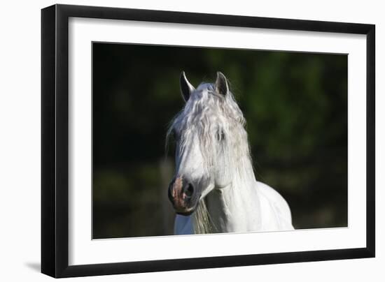 Welsh 024-Bob Langrish-Framed Photographic Print