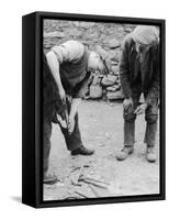 Welsh Blacksmith at Work Filing a Horse's Hoof on a Farm in Carnarvonshire-null-Framed Stretched Canvas
