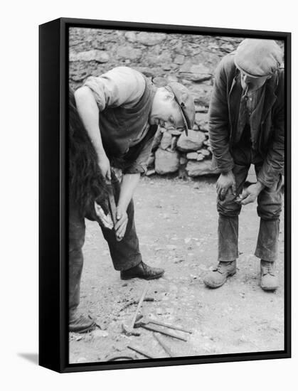 Welsh Blacksmith at Work Filing a Horse's Hoof on a Farm in Carnarvonshire-null-Framed Stretched Canvas