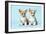 Welsh Corgi Dog (Pembroke) Puppies-null-Framed Photographic Print