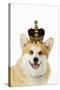 Welsh Corgi Dog Wearing Crown and Pearls-null-Stretched Canvas