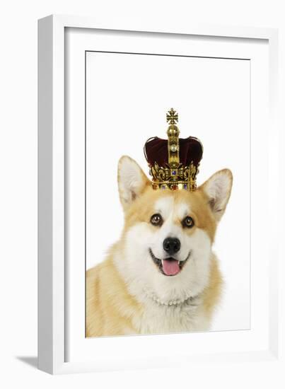 Welsh Corgi Dog Wearing Crown and Pearls-null-Framed Photographic Print