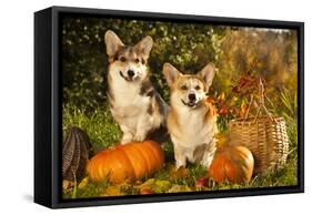 Welsh Corgi Pembroke Dog-Lilun-Framed Stretched Canvas