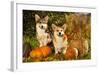 Welsh Corgi Pembroke Dog-Lilun-Framed Photographic Print