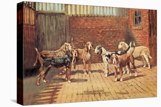 Welsh Hounds-Thomas Ivester Llyod-Stretched Canvas