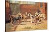 Welsh Hounds-Thomas Ivester Llyod-Stretched Canvas