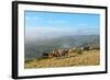 Welsh Ponies, Eppynt, Cambrian Mountains, Powys, Wales, United Kingdom, Europe-Graham Lawrence-Framed Photographic Print