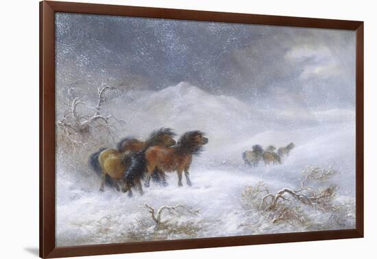 Welsh Ponies in the Snow-James Howie Carse-Framed Premium Giclee Print