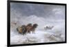 Welsh Ponies in the Snow-James Howie Carse-Framed Premium Giclee Print