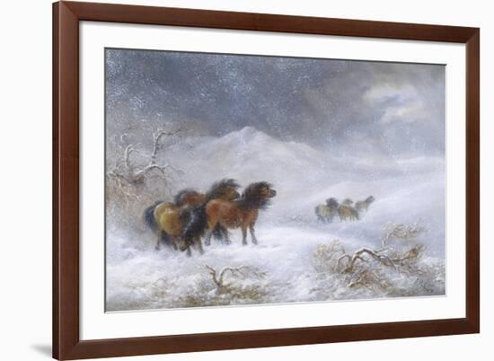 Welsh Ponies in the Snow-James Howie Carse-Framed Giclee Print