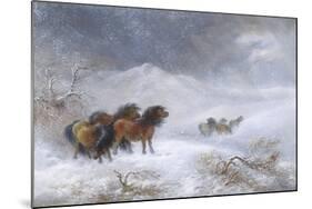 Welsh Ponies in the Snow-James Howie Carse-Mounted Giclee Print