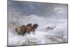 Welsh Ponies in the Snow-James Howie Carse-Mounted Premium Giclee Print