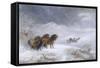 Welsh Ponies in the Snow-James Howie Carse-Framed Stretched Canvas