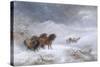 Welsh Ponies in the Snow-James Howie Carse-Stretched Canvas