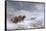 Welsh Ponies in the Snow-James Howie Carse-Framed Stretched Canvas