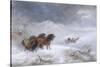 Welsh Ponies in the Snow-James Howie Carse-Stretched Canvas