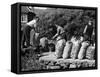 Welsh Potato Sacks-null-Framed Stretched Canvas