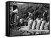 Welsh Potato Sacks-null-Framed Stretched Canvas