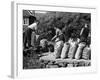 Welsh Potato Sacks-null-Framed Photographic Print