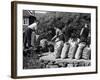 Welsh Potato Sacks-null-Framed Photographic Print