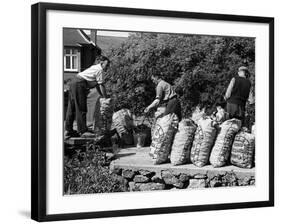 Welsh Potato Sacks-null-Framed Photographic Print