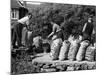 Welsh Potato Sacks-null-Mounted Photographic Print