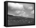 Canvas Black