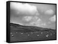 Canvas Black