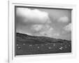 Gramercy White