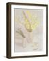 Welsh Spring Flowers, 2004-Maurice Sheppard-Framed Giclee Print