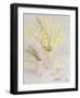 Welsh Spring Flowers, 2004-Maurice Sheppard-Framed Giclee Print