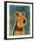 Welsh Terrier-John Golden-Framed Giclee Print