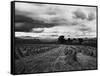 Welsh Wheat Fields with Snowdonia in the Distance-null-Framed Stretched Canvas