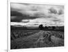 Welsh Wheat Fields with Snowdonia in the Distance-null-Framed Photographic Print