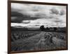 Welsh Wheat Fields with Snowdonia in the Distance-null-Framed Photographic Print