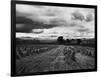 Welsh Wheat Fields with Snowdonia in the Distance-null-Framed Photographic Print