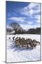 Welsh Winter Landscape-Charles Bowman-Mounted Photographic Print