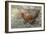 Welsummer Domestic Chicken Breed-null-Framed Photographic Print