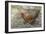 Welsummer Domestic Chicken Breed-null-Framed Photographic Print