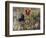 Weltgericht-Stephan Lochner-Framed Giclee Print