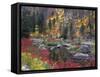 Wenatchee River and Fall Color, Tumwater Canyon, Washington, USA-Jamie & Judy Wild-Framed Stretched Canvas