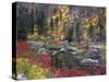 Wenatchee River and Fall Color, Tumwater Canyon, Washington, USA-Jamie & Judy Wild-Stretched Canvas