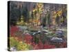 Wenatchee River and Fall Color, Tumwater Canyon, Washington, USA-Jamie & Judy Wild-Stretched Canvas