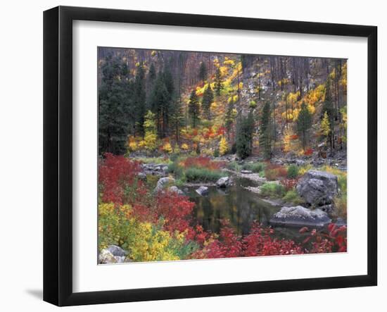 Wenatchee River and Fall Color, Tumwater Canyon, Washington, USA-Jamie & Judy Wild-Framed Premium Photographic Print