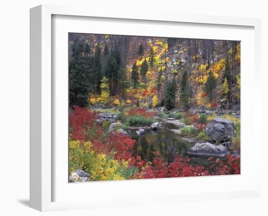 Wenatchee River and Fall Color, Tumwater Canyon, Washington, USA-Jamie & Judy Wild-Framed Premium Photographic Print