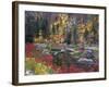 Wenatchee River and Fall Color, Tumwater Canyon, Washington, USA-Jamie & Judy Wild-Framed Photographic Print