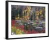 Wenatchee River and Fall Color, Tumwater Canyon, Washington, USA-Jamie & Judy Wild-Framed Photographic Print