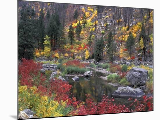 Wenatchee River and Fall Color, Tumwater Canyon, Washington, USA-Jamie & Judy Wild-Mounted Photographic Print